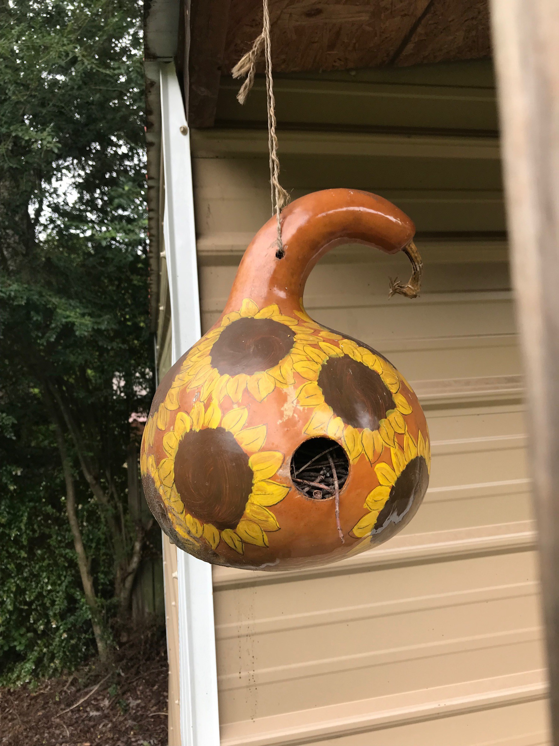 some bird family started in my gourd this summer