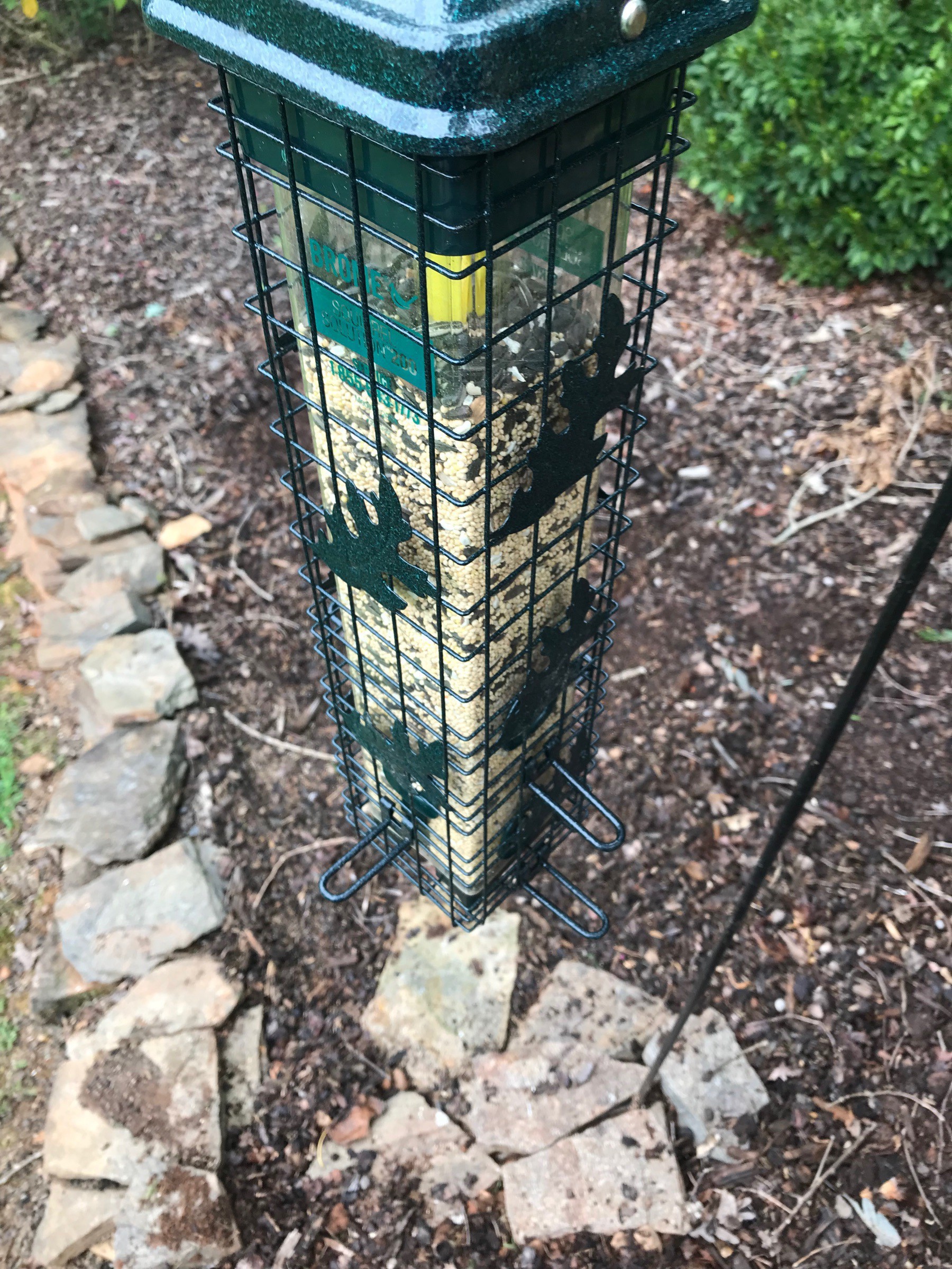 rearranged landscaping stones to cover bare ground beneath bird feeder